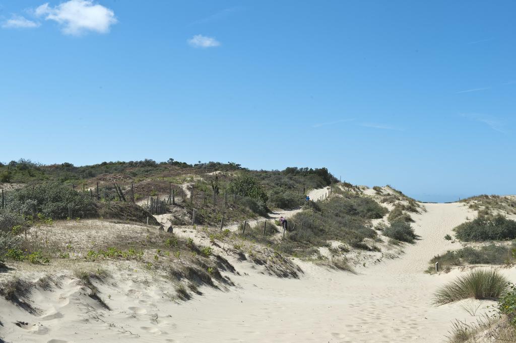 בריי-דון Evancy Etoile Des Dunes מראה חיצוני תמונה